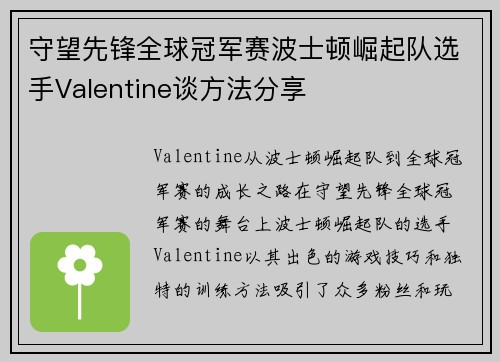 守望先锋全球冠军赛波士顿崛起队选手Valentine谈方法分享