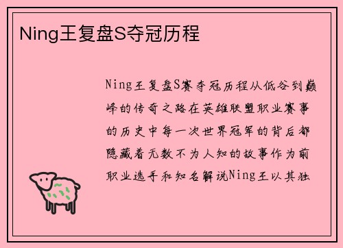 Ning王复盘S夺冠历程